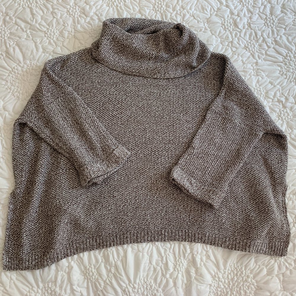 Express Turtleneck Sweater